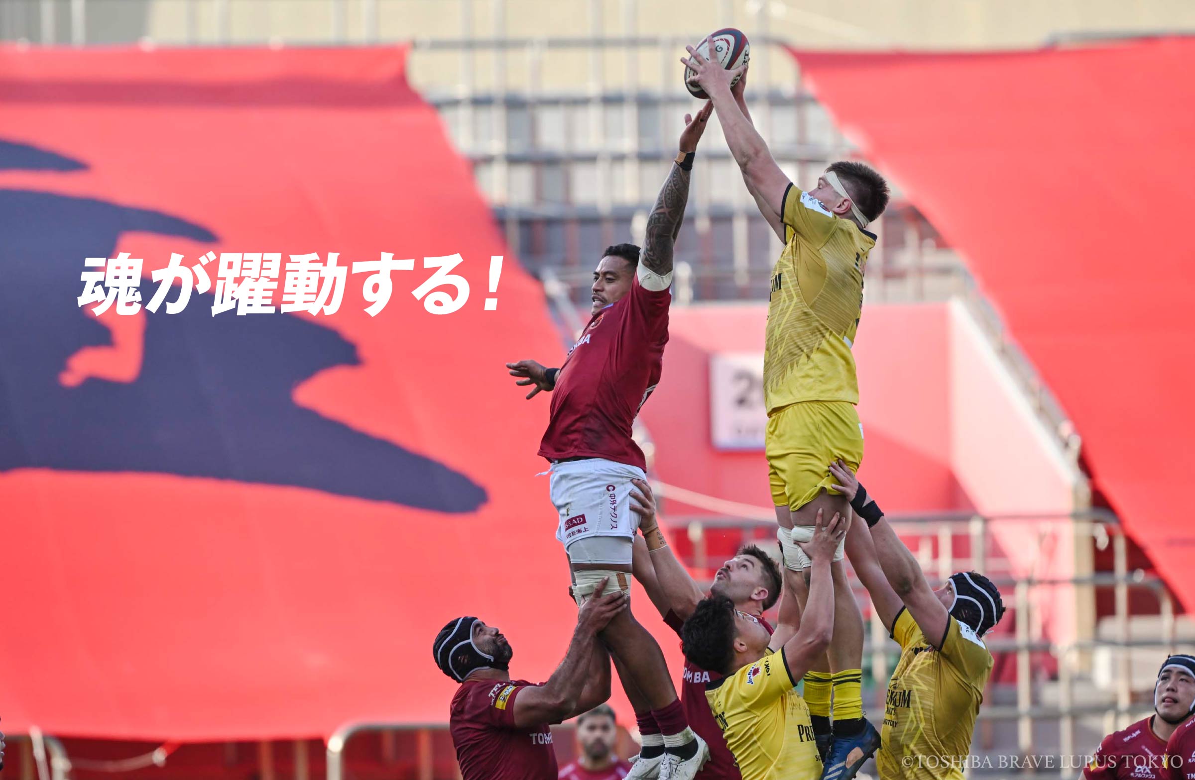 魂が躍動する！